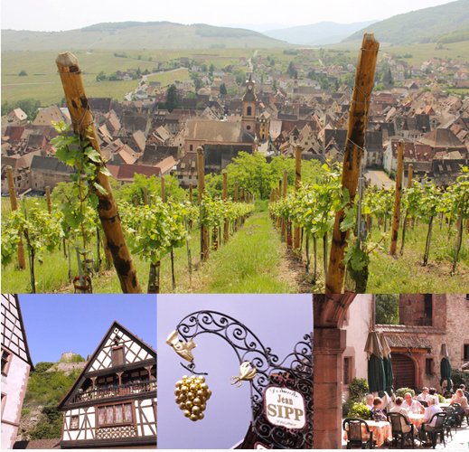 アルザスワイン街道